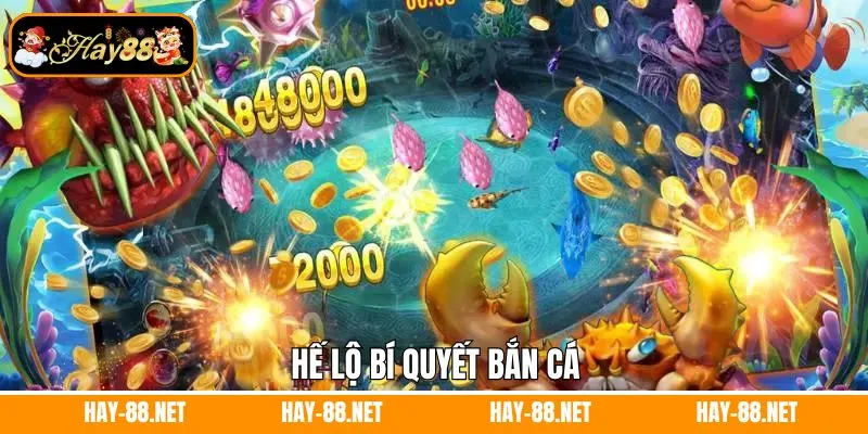 Hé lộ bí quyết bắn cá