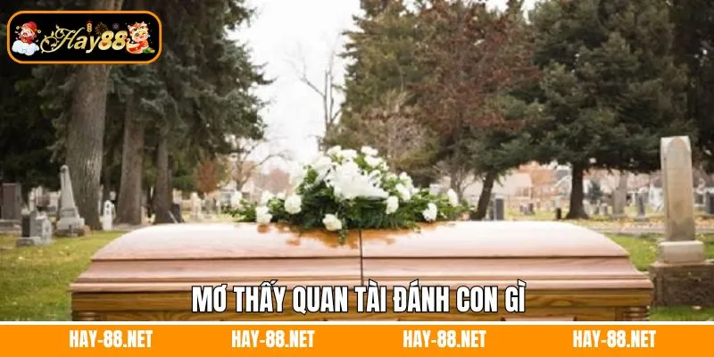 Mơ thấy quan tài đánh con gì