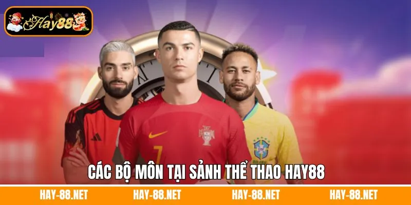 Các bộ môn tại sảnh thể thao Hay88