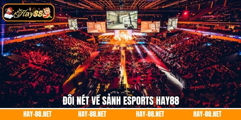 Đôi nét về sảnh esports Hay88