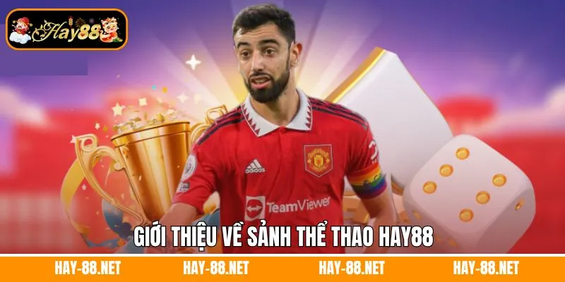 Giới thiệu về sảnh thể thao Hay88