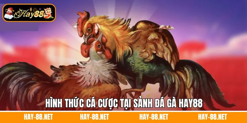 Hình thức cá cược tại sảnh đá gà Hay88