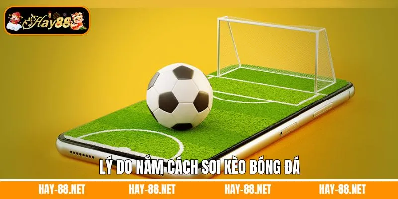 Mơ Thấy Ma Đánh Con Gì? Giải Mã Những Con Số Thần Tài 10 Lý do nắm cách soi kèo bóng đá