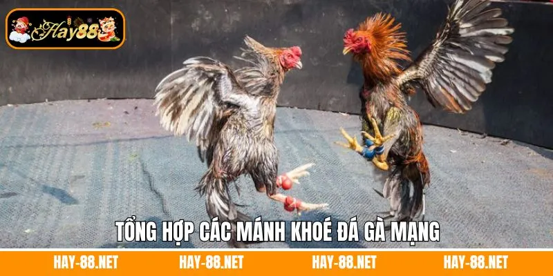 Mơ Thấy Ma Đánh Con Gì? Giải Mã Những Con Số Thần Tài 12 Tổng hợp các mánh khoé đá gà mạng