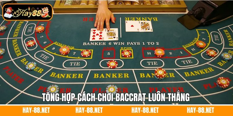 Tổng hợp cách chơi baccarat luôn thắng