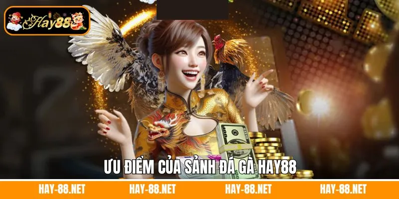 Ưu điểm của sảnh đá gà Hay88