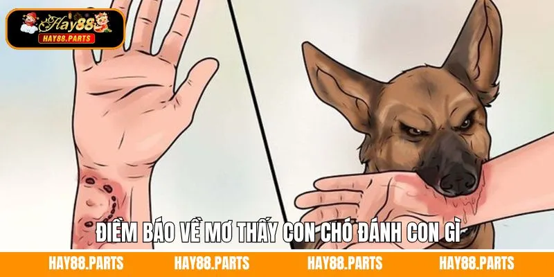 Mơ Thấy Quan Tài Đánh Con Gì - Giải Mã Thông Điệp Từ Hay88 11 Điềm báo khi chiêm bao bị chó cắn
