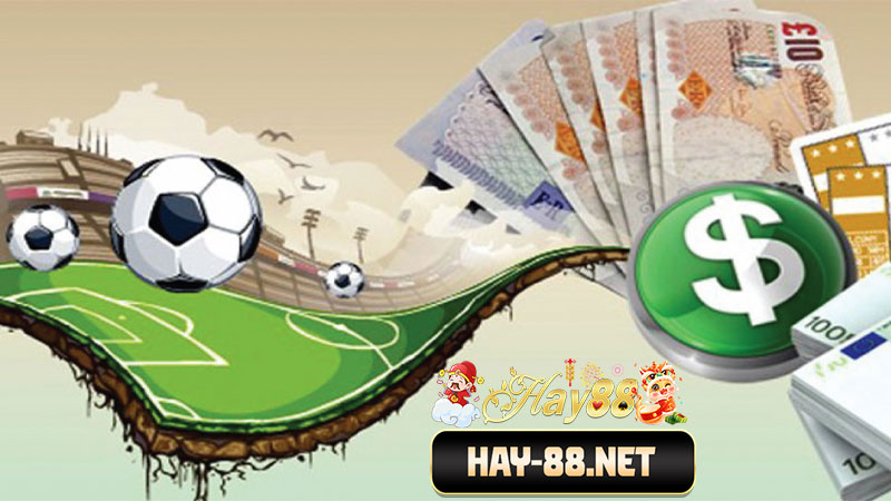 Hay88 kèo nhà cái