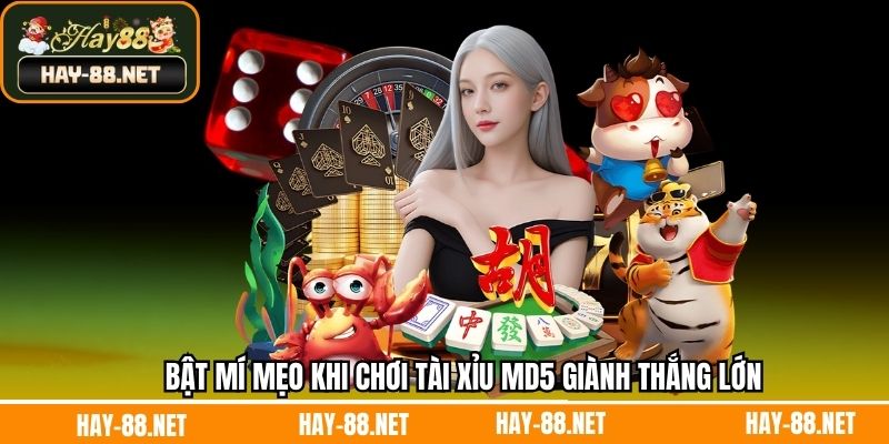 Kinh nghiệm thắng lớn khi tham gia game tài xỉu tại Hay88