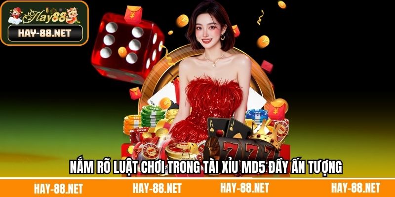 Nắm rõ luật chơi trong tài xỉu MD5 đầy ấn tượng